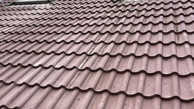 roofers in chelsea