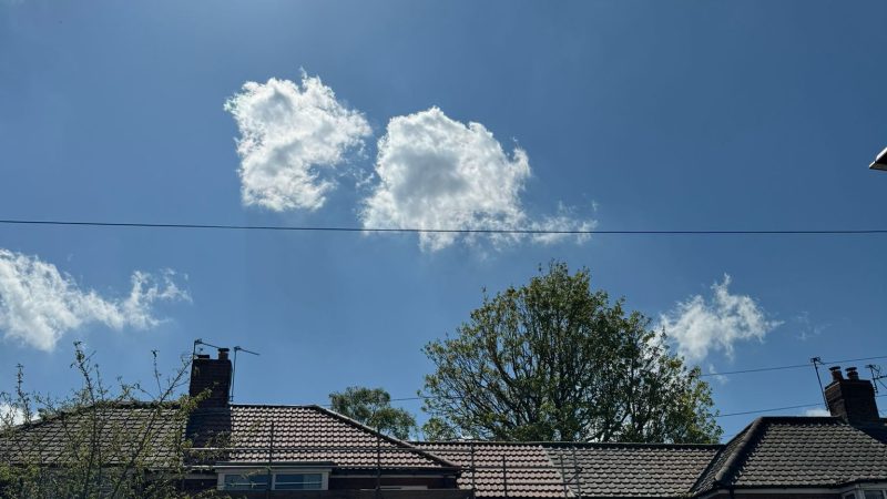roofing companies near me